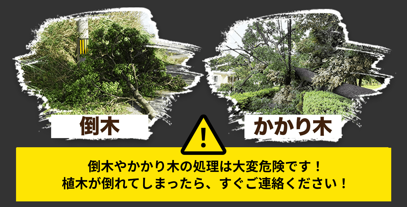 強風で木が倒れた！電線に木が引っかかった！こんな場合は緊急出動いたします！