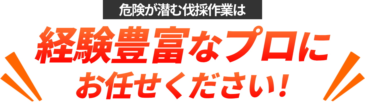 経験豊富なプロにお任せください！