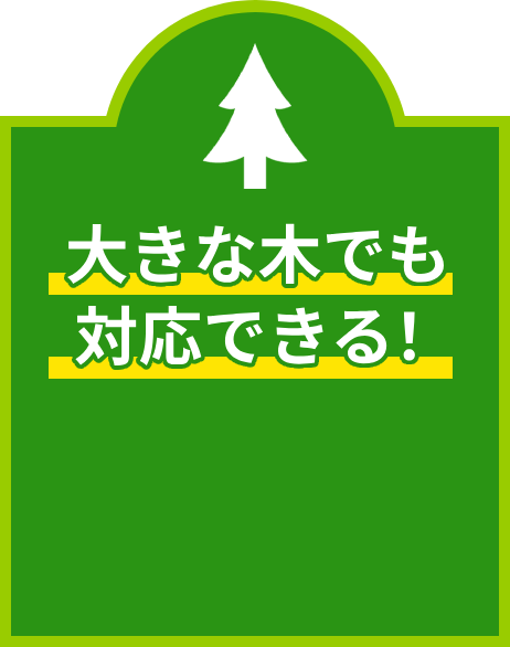 大きな木でも対応できる！